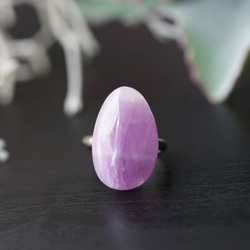 Free size ring #11~ with Kunzite. 第1張的照片