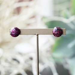 14KGF Pierced earrings with Eudialyte. 第1張的照片