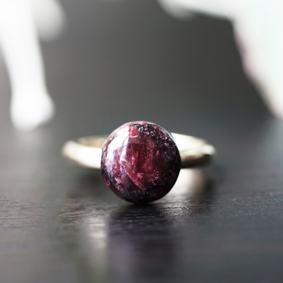 Free size ring #11~ with Eudialyte. 第1張的照片