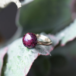 Free size ring #11~ with Eudialyte. 第3張的照片