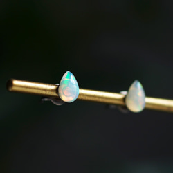 Titanium pierced earrings with Opal 第6張的照片
