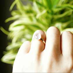 不分尺寸★粉色貝殼·水晶的戒指 第2張的照片