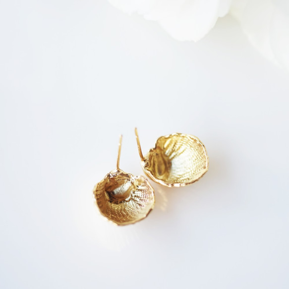 Shellfish made of Silver925 and K18 gold plate corting 第2張的照片