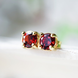 莫三比克圓形切割5毫米石榴石爪鑲耳環 - Joelle 第2張的照片