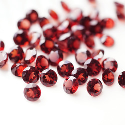 莫三比克圓形切割5毫米石榴石爪鑲耳環 - Joelle 第6張的照片