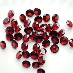 莫三比克圓形切割5毫米石榴石爪鑲耳環 - Joelle 第8張的照片