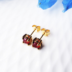 莫三比克圓形切割5毫米石榴石爪鑲耳環 - Joelle 第9張的照片