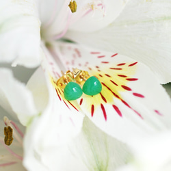 14KGF Pierced earring with Chrysoprase. 第5張的照片