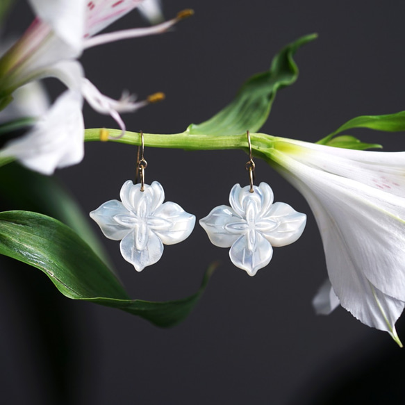 14KGF pierced earring with white shell. 第6張的照片