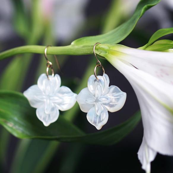 14KGF pierced earring with white shell. 第9張的照片