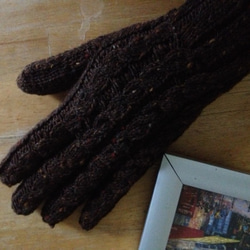 免費送貨☆手套✩深棕色 第1張的照片