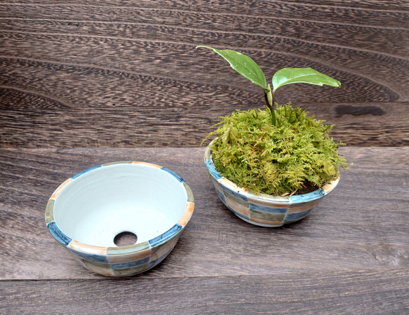 おしゃれな市松模様のミニ盆栽鉢 1枚目の画像