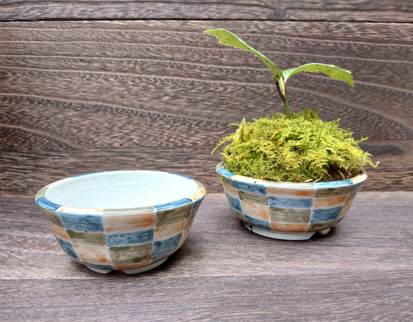 おしゃれな市松模様のミニ盆栽鉢 2枚目の画像