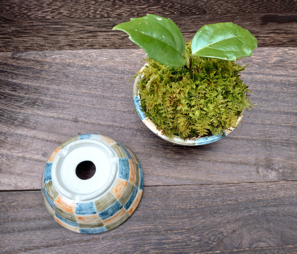 おしゃれな市松模様のミニ盆栽鉢 3枚目の画像