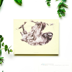 Set of 10 Endangered Species postcards 第3張的照片