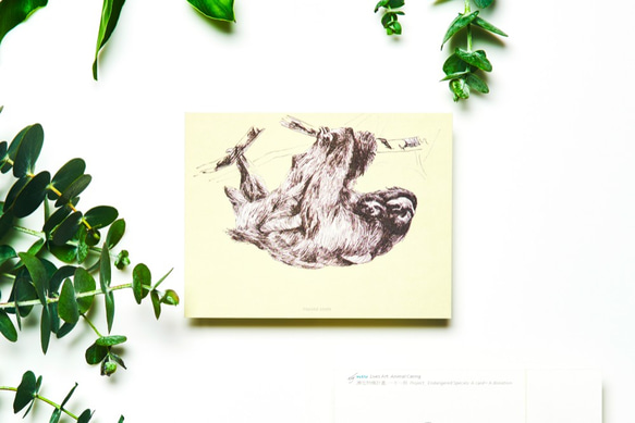 Set of 10 Endangered Species postcards 第3張的照片