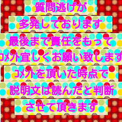 オーダー デコ アイコスケース ケース代込 全面デコ ふた付き デザイン一律料金 4枚目の画像