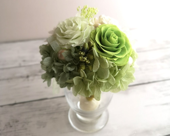 新品・未使用 プリザーブドフラワー フレームアレンジメント【グリーン系】 フレームアレンジ】プリザーブドフラワー/グリーン系 | さくらかん