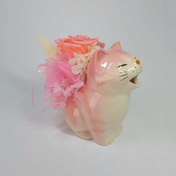 プリザーブドフラワー　ピンクのトラ猫の水差しアレンジ　ブリザードフラワー　プリザ　クリアボックス入 4枚目の画像