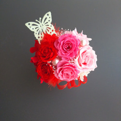 プリザーブドフラワー　蝶々と薔薇のアレンジ　赤 ピンク　還暦祝　お誕生日祝　新築祝　ブリザードフラワー　プリザ 1枚目の画像