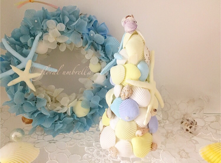 カワイイ大きい貝殻♡インテリア♡シェル♡ kd-f20d5601.jpg