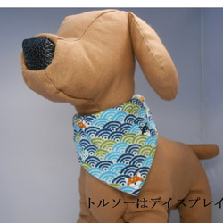 ワン、ニャン用　バンダナ　　青海波に柴犬柄 1枚目の画像