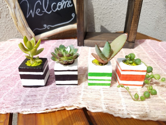 ボーダーカラー　plant pot 4枚目の画像