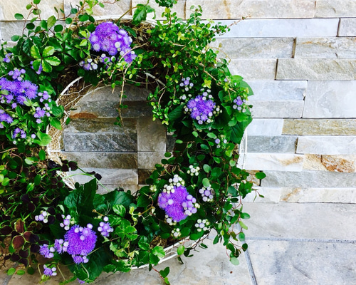 0_35b5eb5366fcff87c5e660fd7c34