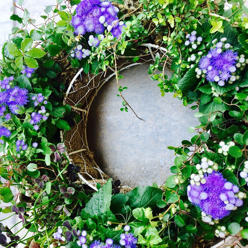 使用するお花はお任せで！リース型の寄せ植え…ガーデニングの時間が