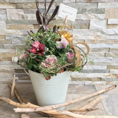 使用するお花はお任せで!リース型の寄せ植え…ガーデニングの 使用するお花はお任せで!リース型の寄せ植え…ガーデニングの