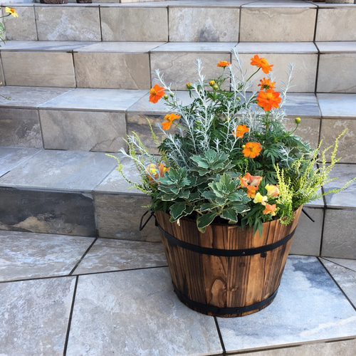 使用するお花はお任せで！木製プランターを使った寄せ植え