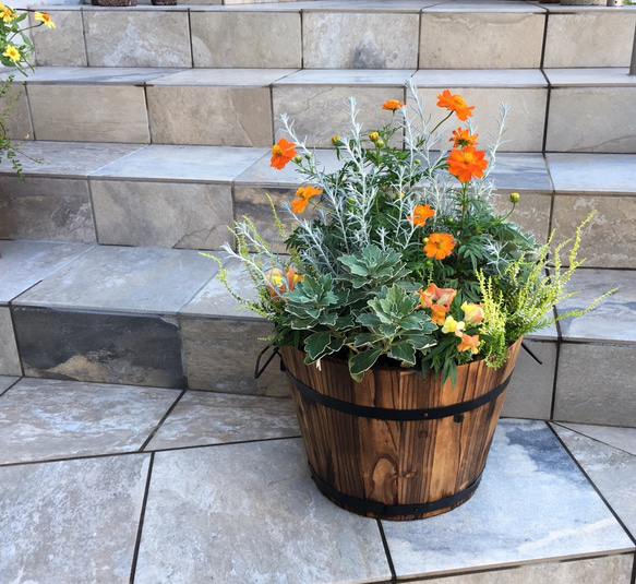木製樽プランター プランター 花壇 ガーデニング 鉢 寄せ植え かご