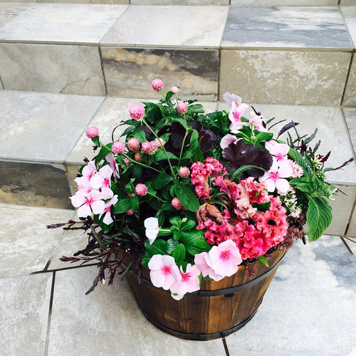 使用するお花はお任せで！木製プランターを使った寄せ植え