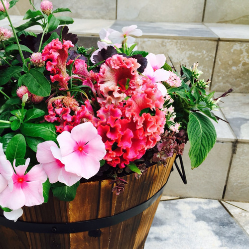 使用するお花はお任せで！木製プランターを使った寄せ植え