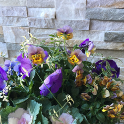 リーフ模様のブリキを使った寄せ植え…ガーデニングの時間がなくても、お庭や玄関先を、お花やグリーンで飾りませんか？ 6枚目の画像