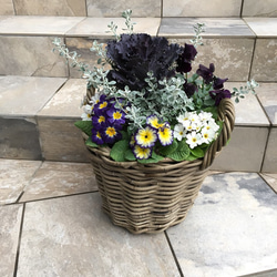 かご(バスケット)を使った寄せ植え…ガーデニングの時間がなくても、お庭や玄関先を、お花やグリーンで飾りませんか？ 2枚目の画像
