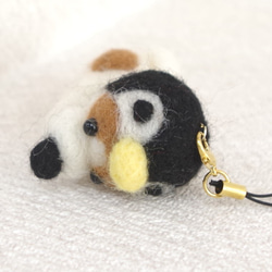 羊毛フェルト【犬】 ペンギンを被ったジャックラッセルテリア携帯ストラップ 8枚目の画像