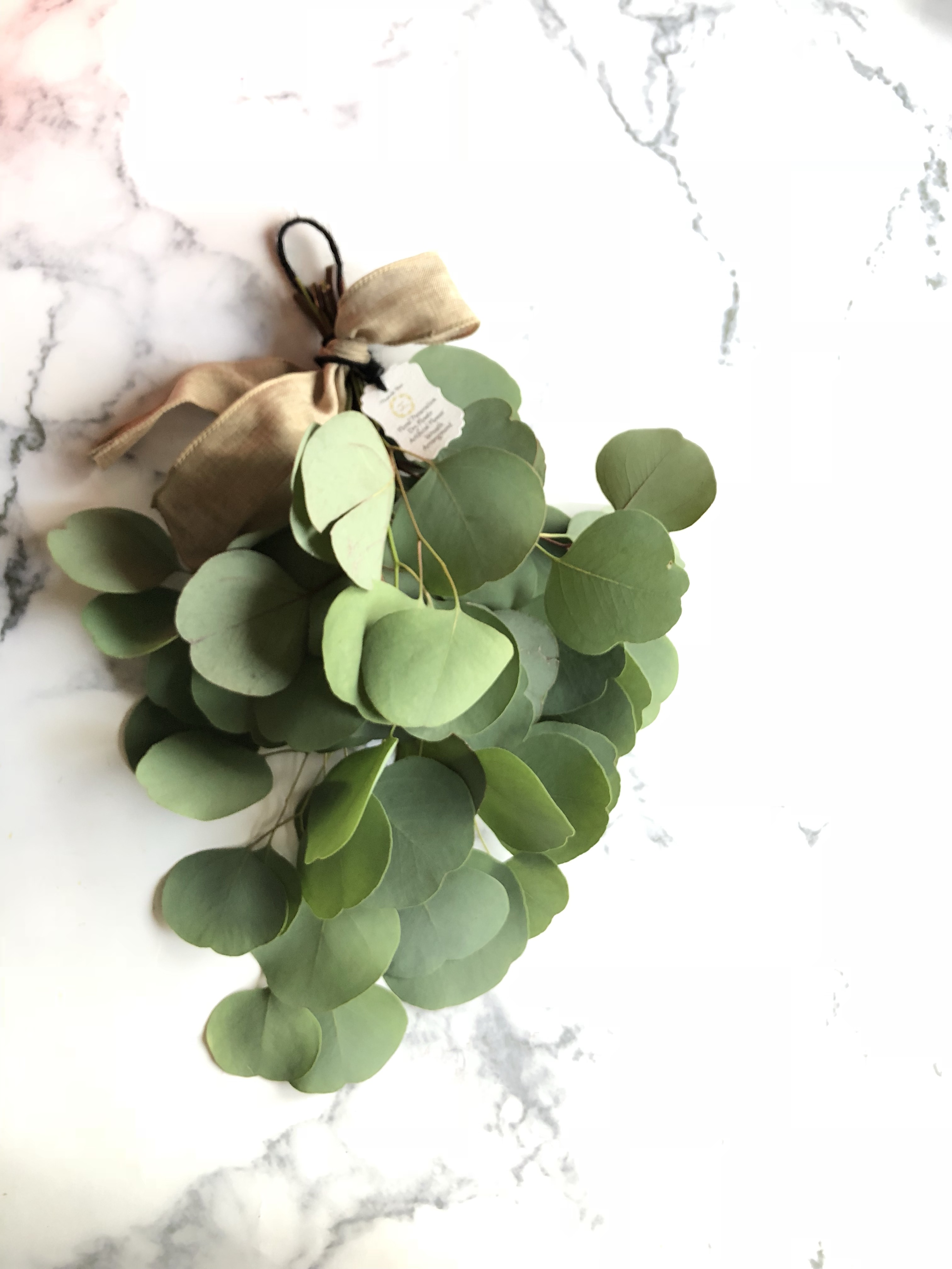 ❈ ユーカリ ❈ フレッシュ ❈ ドライ ❈ 再販人気♫ユーカリスワッグ フレッシュドライフラワー20