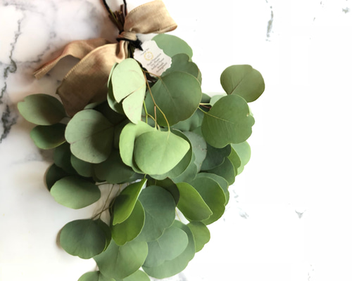 再販人気♫ユーカリスワッグ フレッシュドライフラワー20