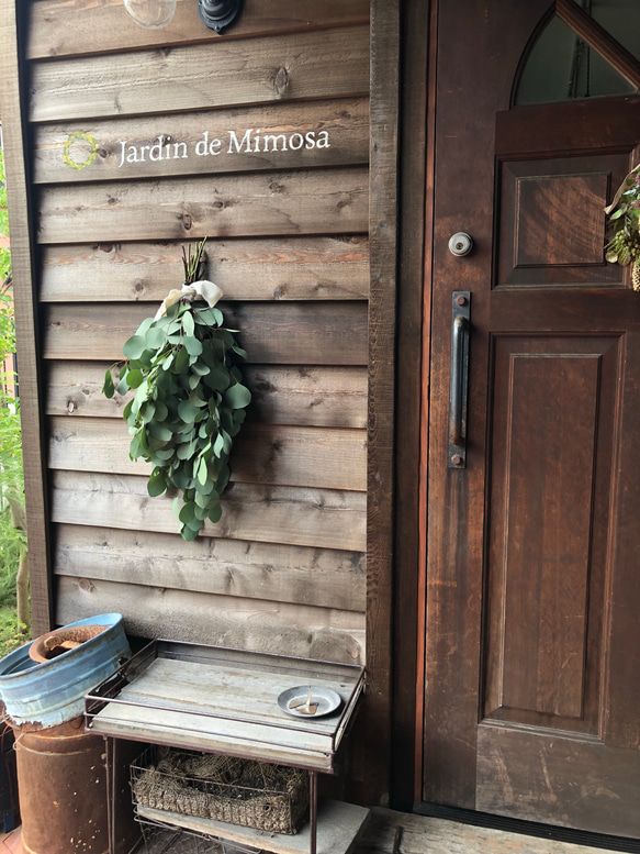 ユーカリポポラス スワッグ♡ドライフラワー（摘みたてフレッシュ