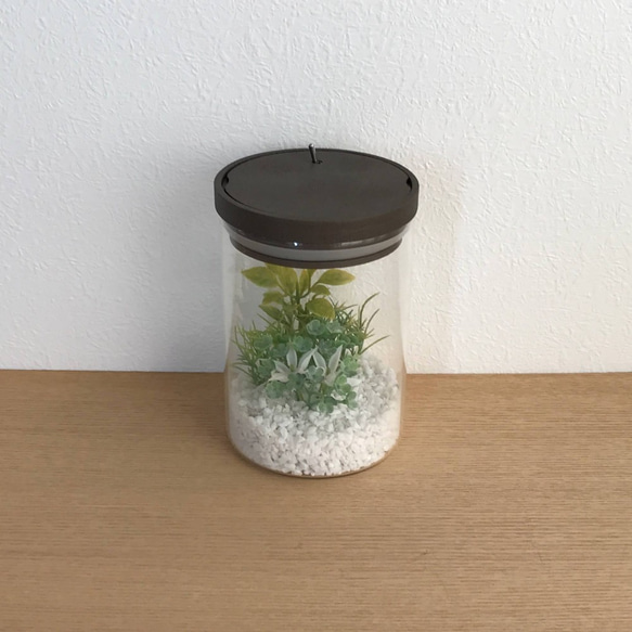 bottle terrarium mini [warm] 2枚目の画像
