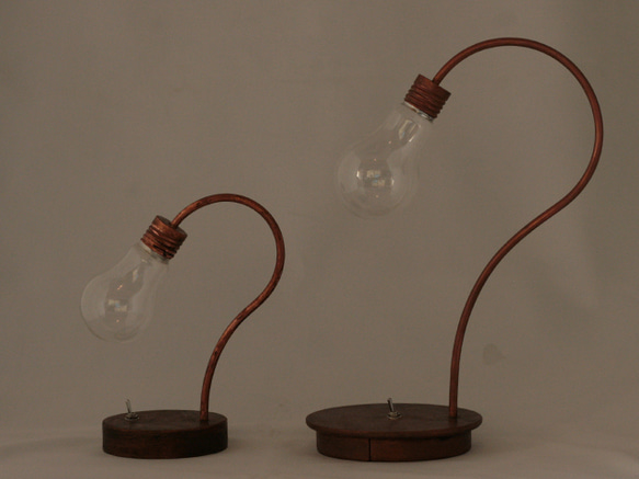 bulb terrarium mini 5枚目の画像