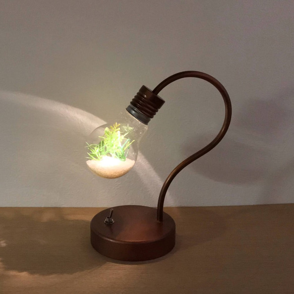 bulb terrarium mini 3枚目の画像