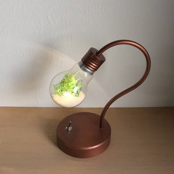 bulb terrarium mini 4枚目の画像