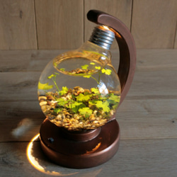 bulb terrarium ball [warm] 1枚目の画像