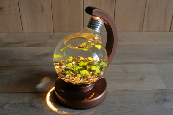 bulb terrarium ball [warm] 1枚目の画像