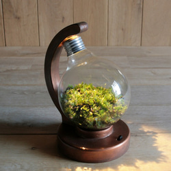 bulb terrarium ball [warm] 2枚目の画像