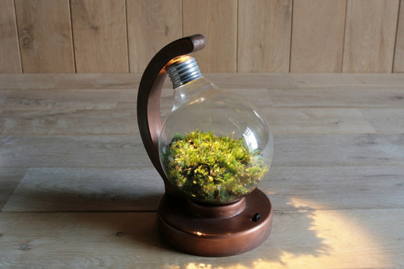 bulb terrarium ball [warm] 2枚目の画像