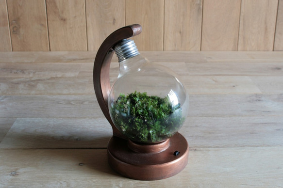 bulb terrarium ball [warm] 3枚目の画像