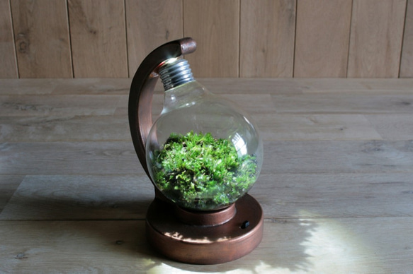 bulb terrarium ball [cool] 2枚目の画像